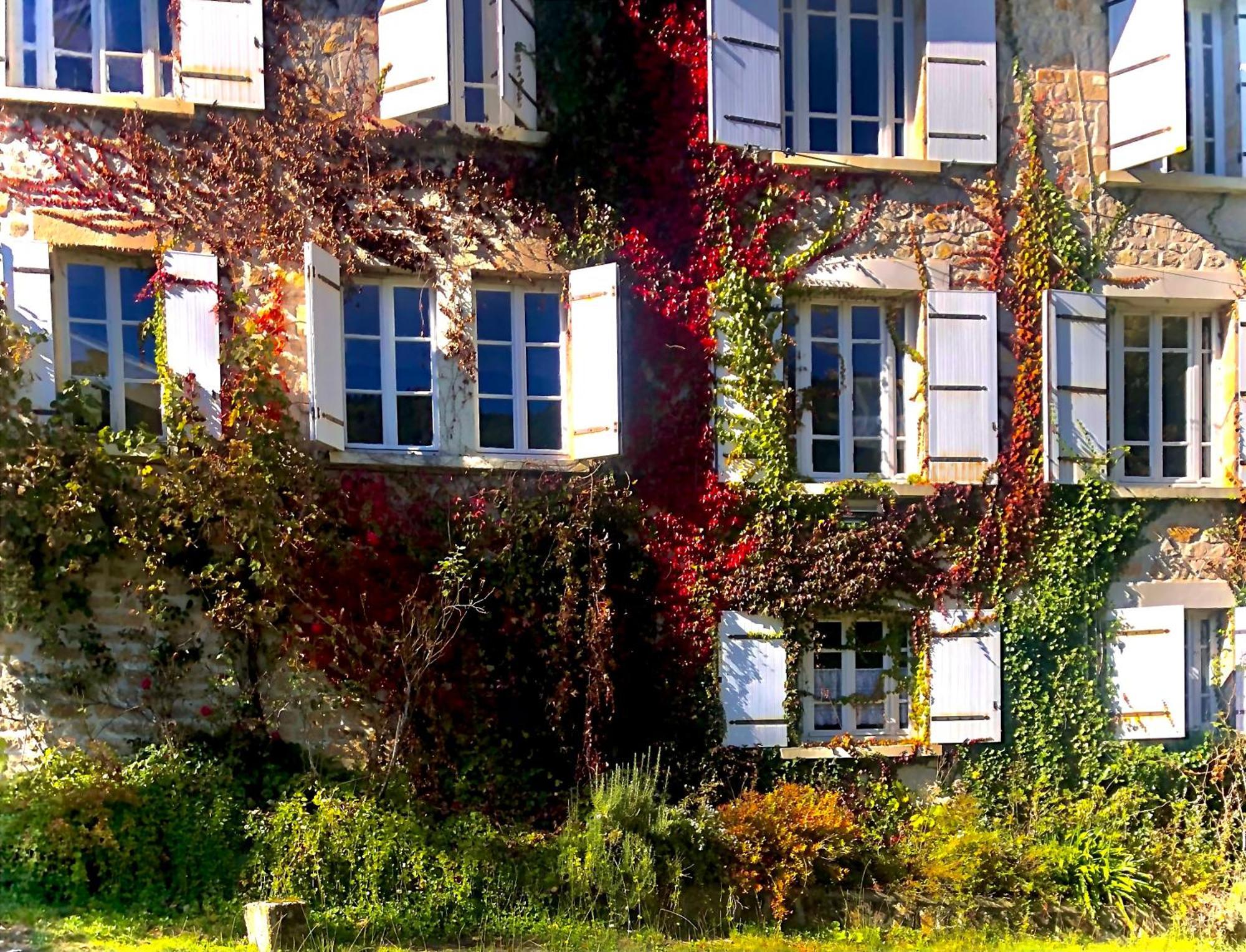 Saint-Merd-de-Lapleau Le Chambon, Chambres D'Hotes المظهر الخارجي الصورة
